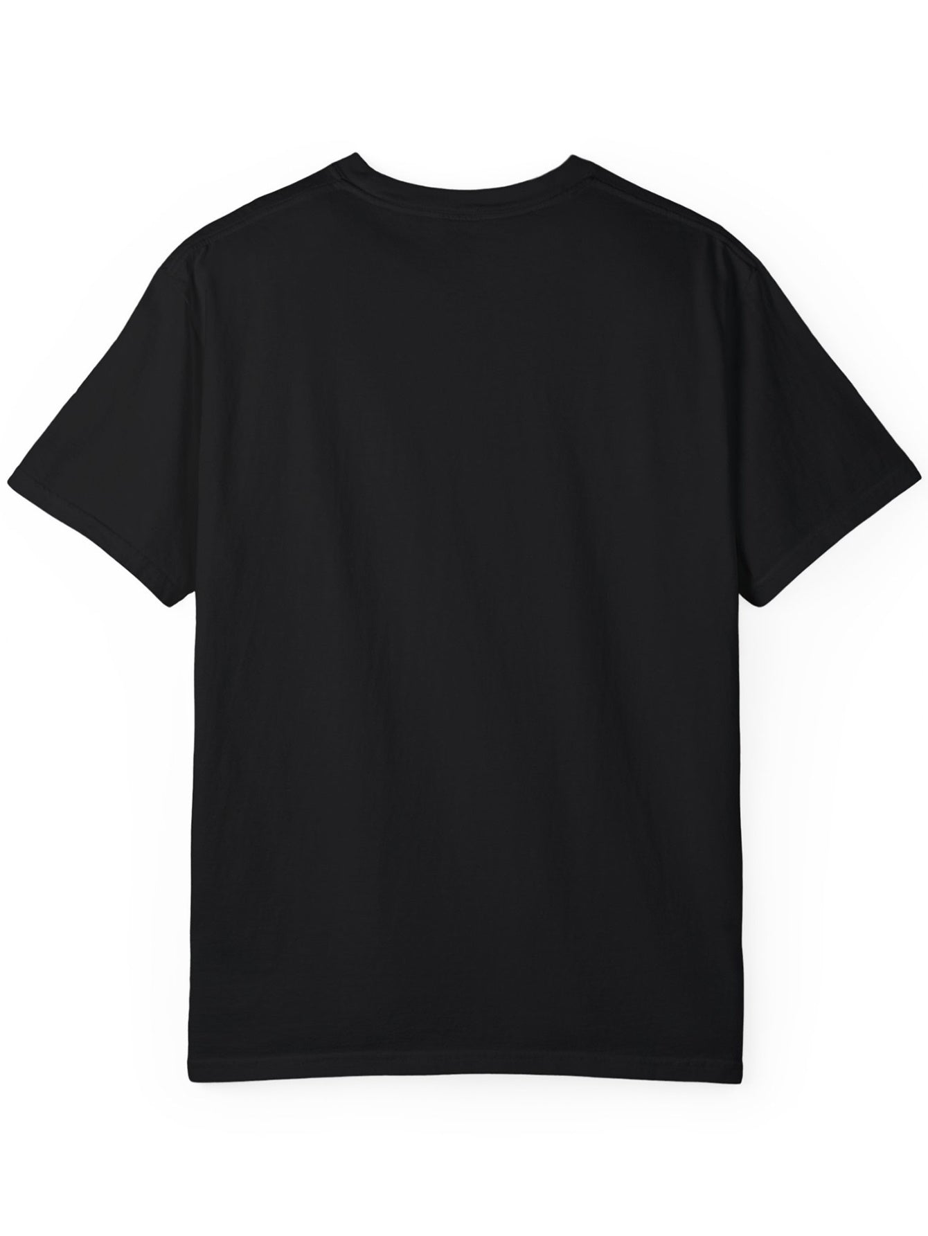 T-shirt homme geek science humour Schrödinger's Cat Escape Plan style laboratoire