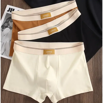 Boxers homme confort quotidien style moderne – Pack de 5 sous-vêtements invisibles et respirants