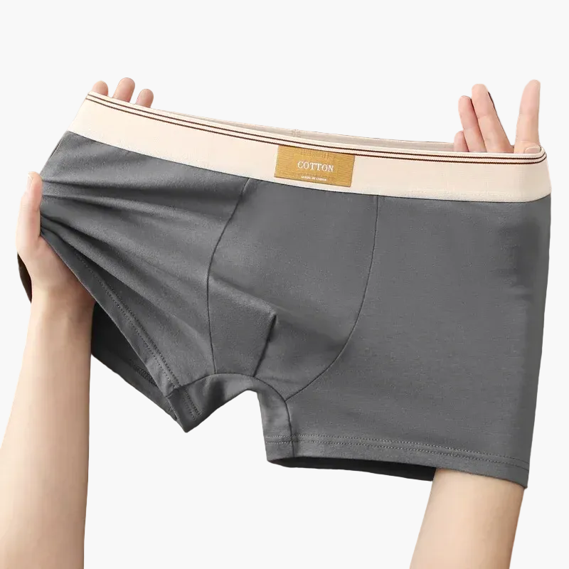 Boxers homme confort quotidien style moderne – Pack de 5 sous-vêtements invisibles et respirants