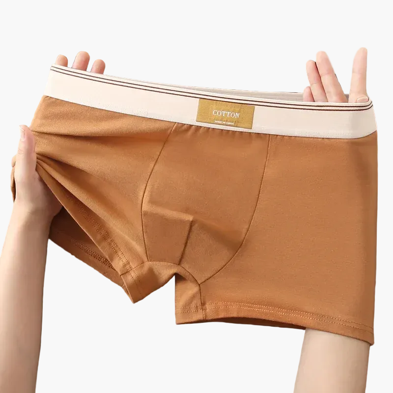 Boxers homme confort quotidien style moderne – Pack de 5 sous-vêtements invisibles et respirants