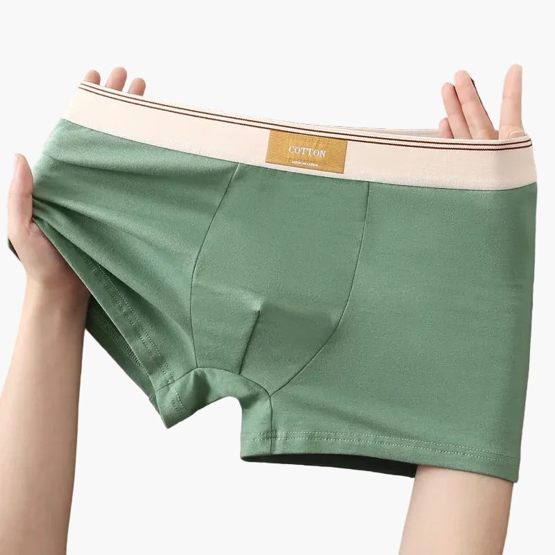 Boxers homme confort quotidien style moderne – Pack de 5 sous-vêtements invisibles et respirants