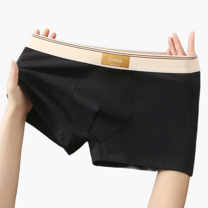 Boxers homme confort quotidien style moderne – Pack de 5 sous-vêtements invisibles et respirants